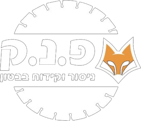 פ.נ.ק ניסור וקידוח בטון